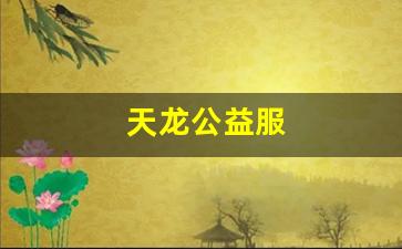 天龙公益服(天龙公益服发布网) (2)