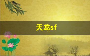 天龙sf(天龙寺) (2)