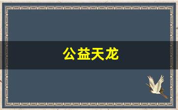 公益天龙(18岁了防沉迷还在) (4)