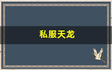 天龙八部3sf：私服天龙 (5)