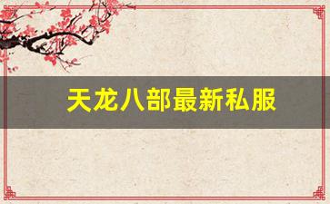 天龙八部私服发布：天龙八部最新私服 (10)