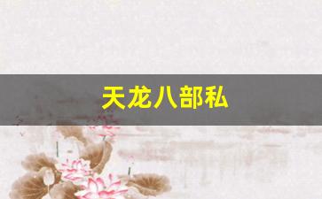 天龙八部私(天龙八部3) (9)