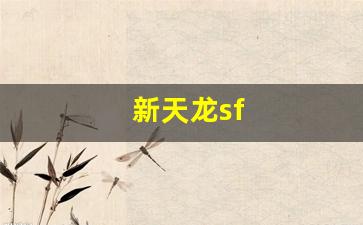 新天龙sf(新天龙实业股份有限公司) (3)