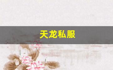 天龙八部sf：天龙私服(天龙手游官网) (2)