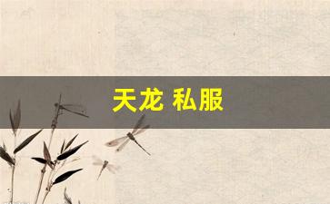 天龙八部3公益服发布网：天龙 私服(天龙手游私sf下载) (14)