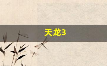 天龙3(天龙3号火箭) (2)