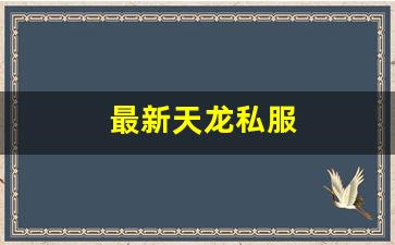 最新天龙私服 (11)