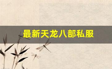 最新天龙八部私服 (4)