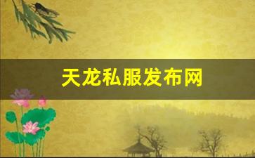 天龙八部私：天龙私服发布网(天龙sf发布站) (4)