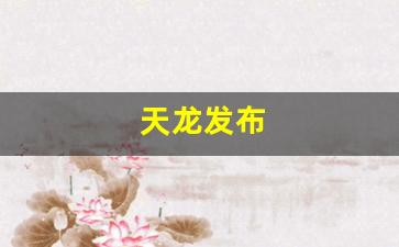 天龙发布(天龙发布会)