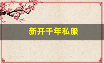 新开千年私服 (12)