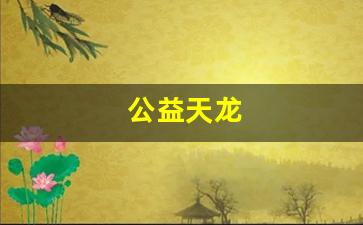公益天龙(18岁了防沉迷还在)
