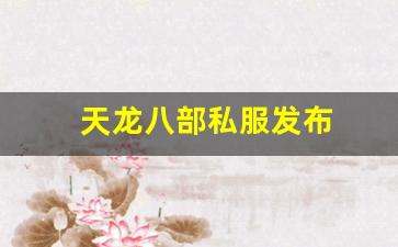 天龙八部私服发布(天龙八部国际服下载) (4)