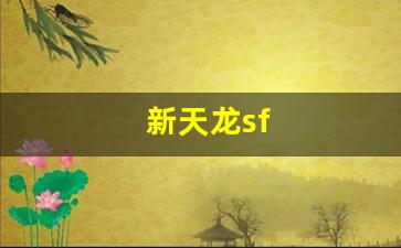 新天龙sf(新天龙实业股份有限公司) (3)