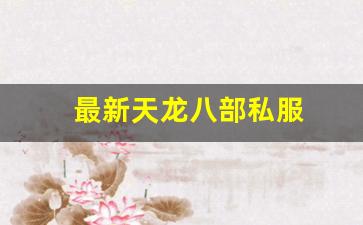 最新天龙八部私服 (2)