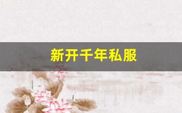 新开千年私服 (16)