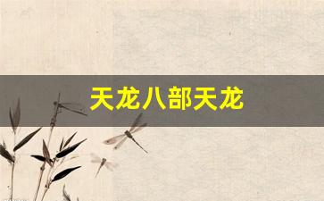 天龙八部天龙(天龙八部天龙武道怎么点)
